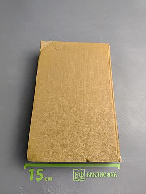 История живописи в Италии. Том V