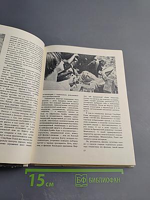 На экранах мира. Выпуск 5