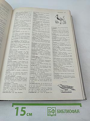 Diccionario Everest 40 Léxico. Lengua Española