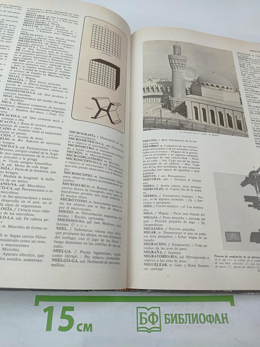 Diccionario Everest 40 Léxico. Lengua Española