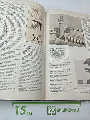 Diccionario Everest 40 Léxico. Lengua Española