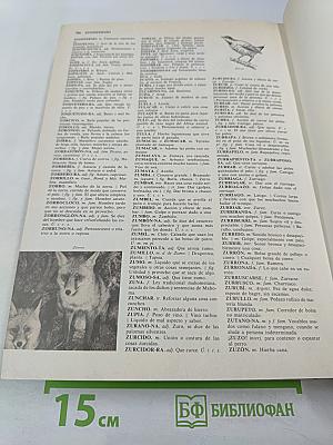 Diccionario Everest 40 Léxico. Lengua Española