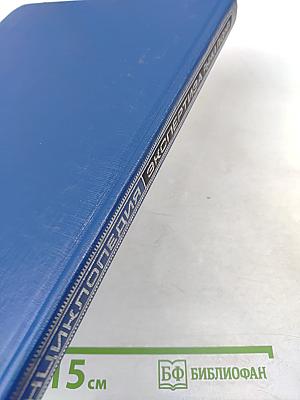 Энциклопедия экспертиза рынка лизинга