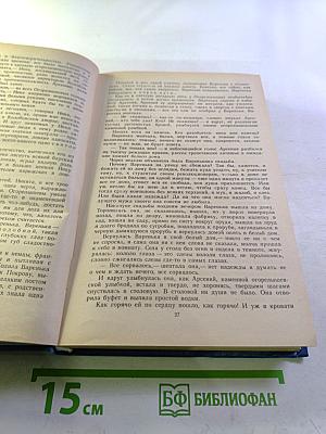 Неуемный бубен