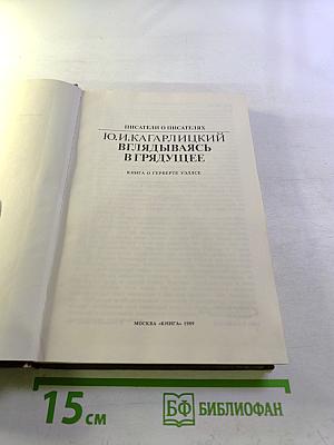 Вглядываясь в грядущее