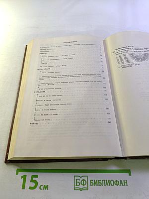 Вглядываясь в грядущее