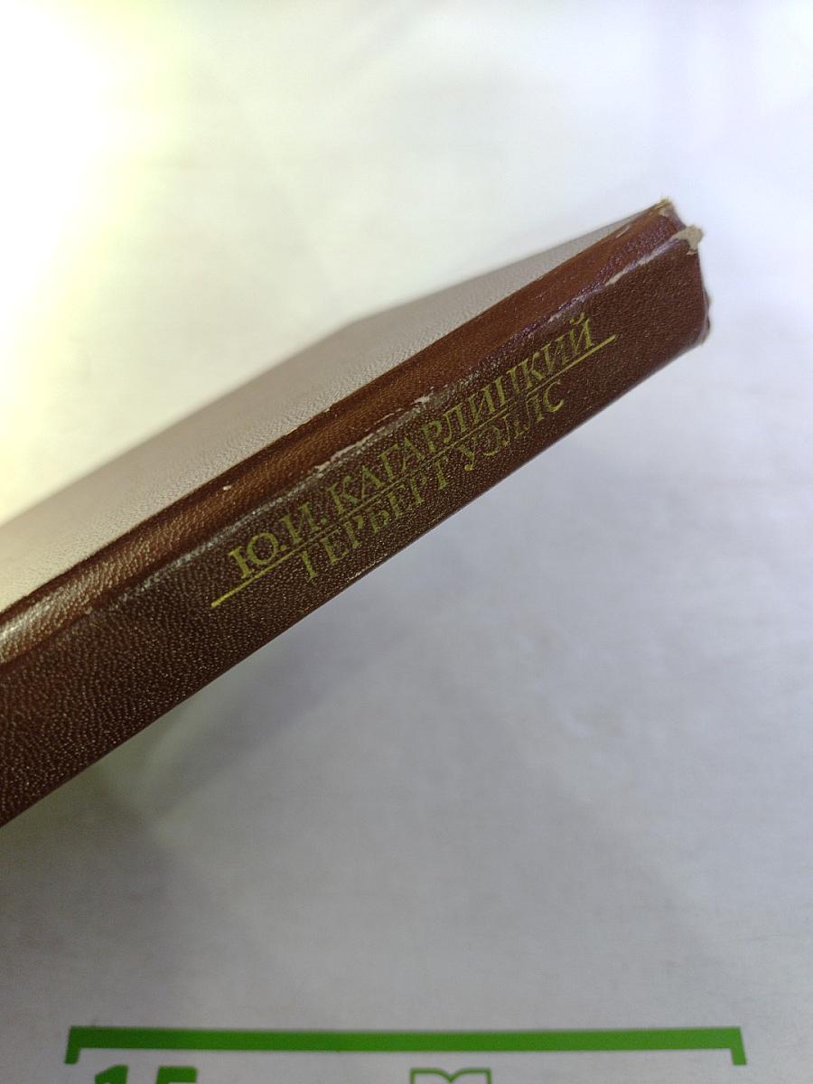 Вглядываясь в грядущее