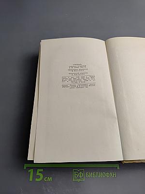 Собрание сочинений в пятнадцати томах. Том десятый. Прогулки по Риму