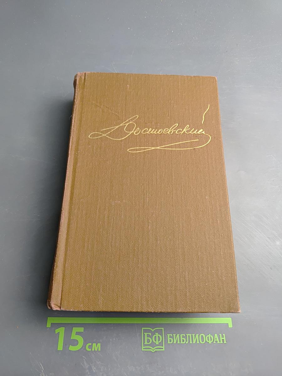 Братья Карамазовы, Том девятый