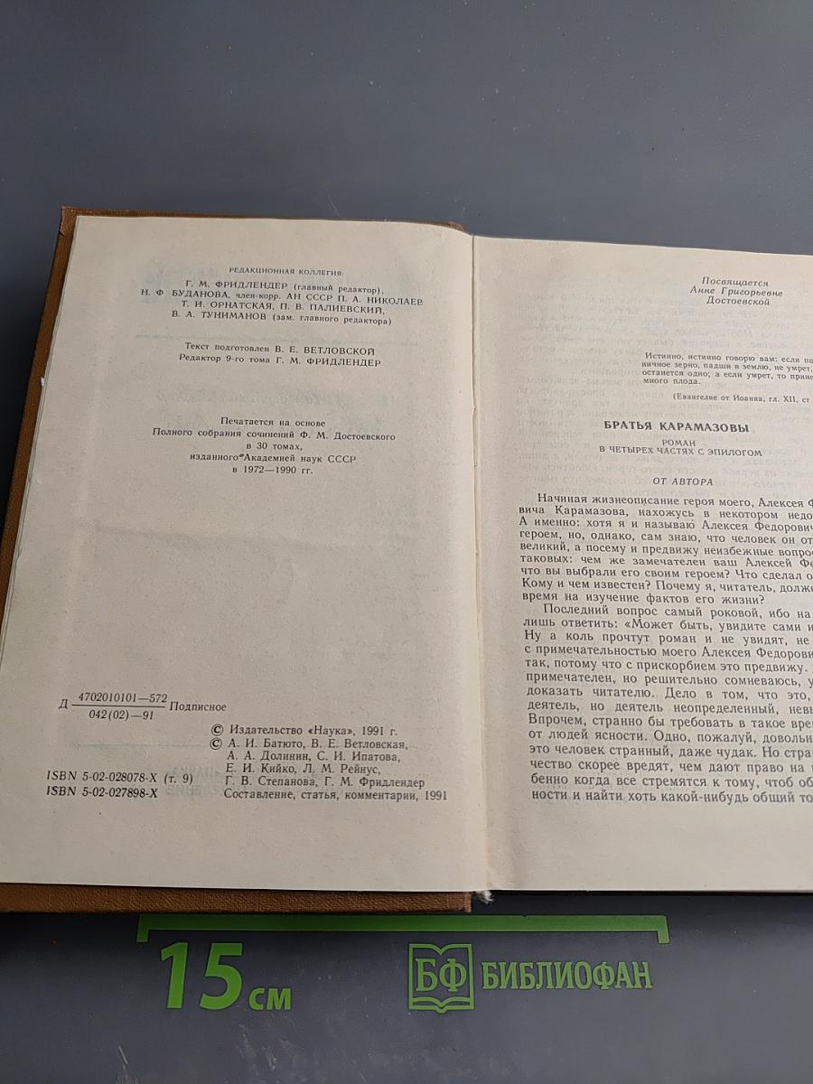 Братья Карамазовы, Том девятый