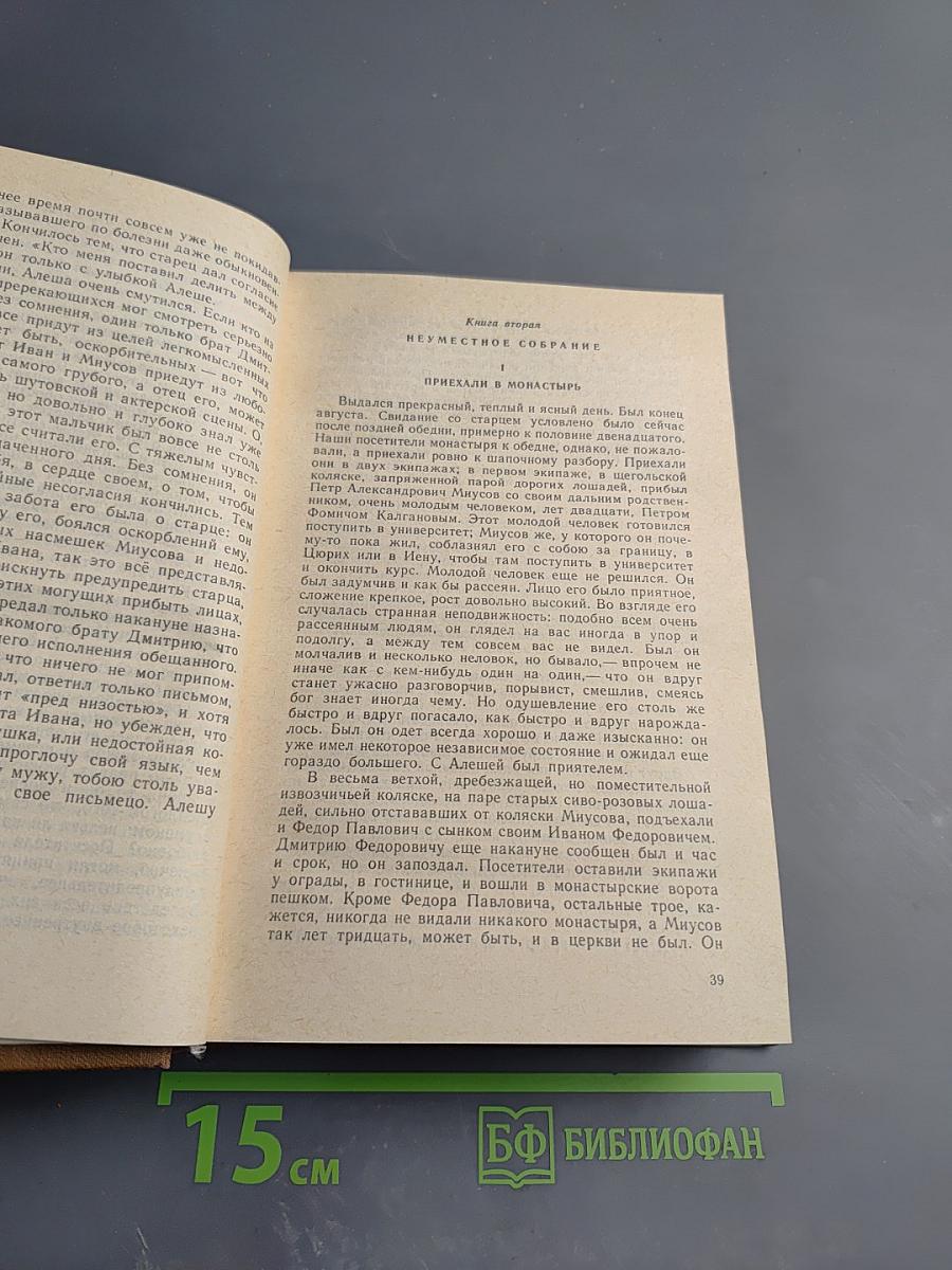 Братья Карамазовы, Том девятый