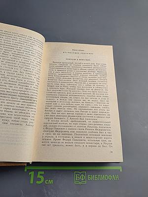 Братья Карамазовы, Том девятый