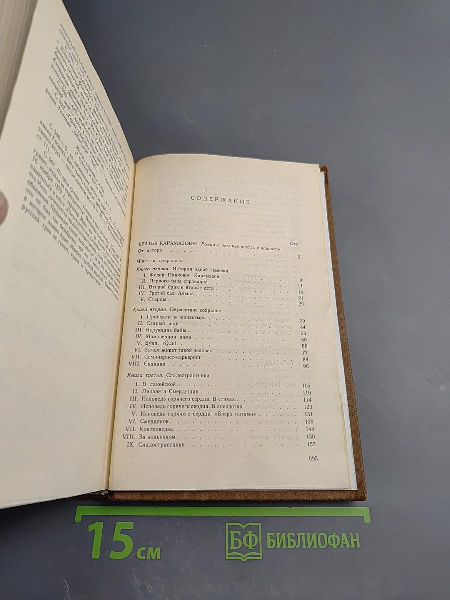 Братья Карамазовы, Том девятый