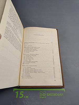 Братья Карамазовы, Том девятый