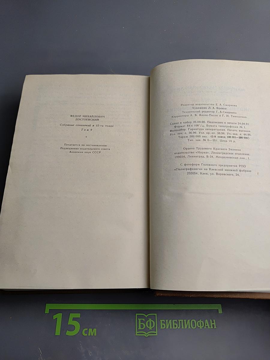 Братья Карамазовы, Том девятый