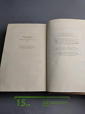 Братья Карамазовы, Том девятый