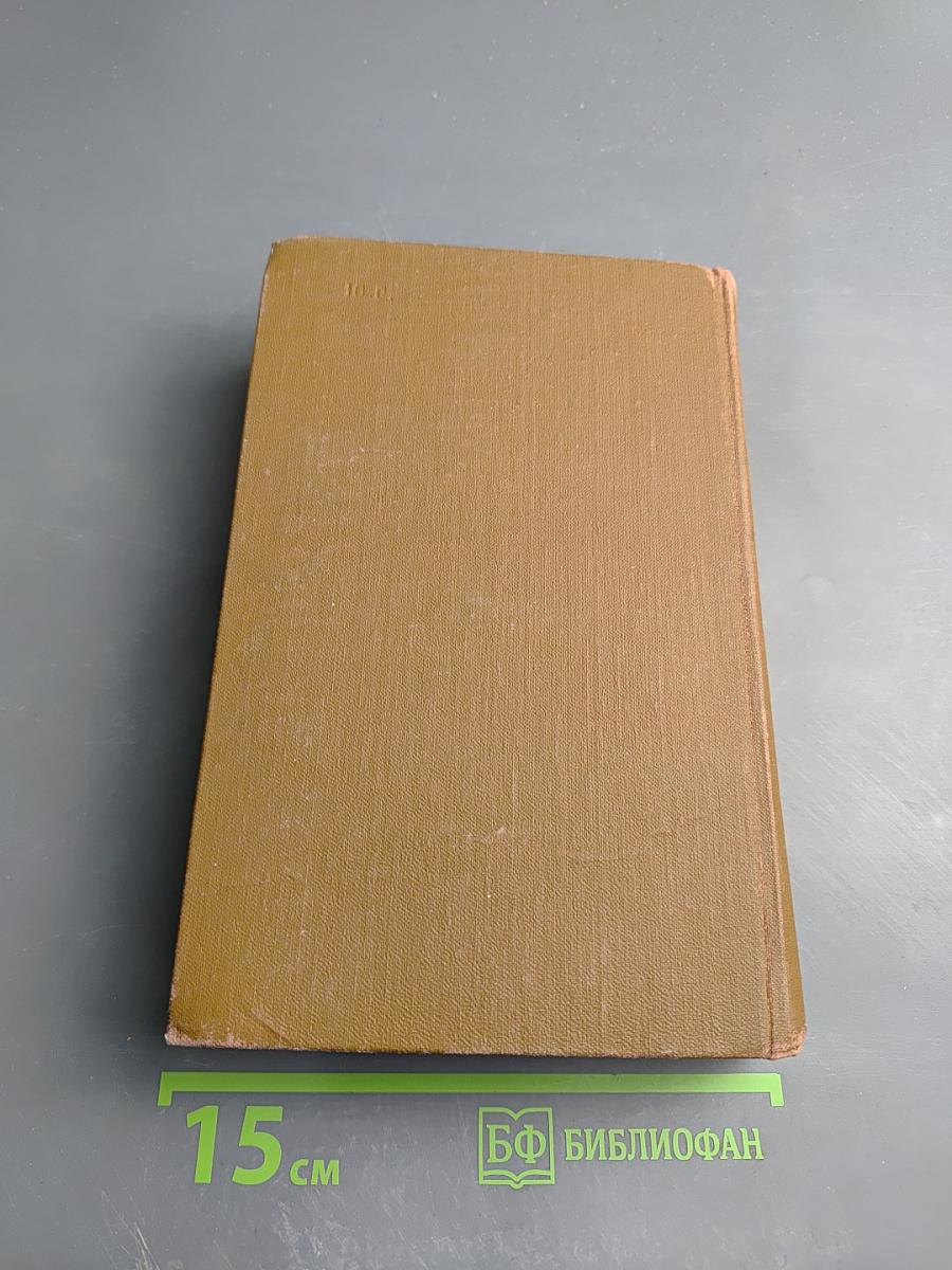 Братья Карамазовы, Том девятый