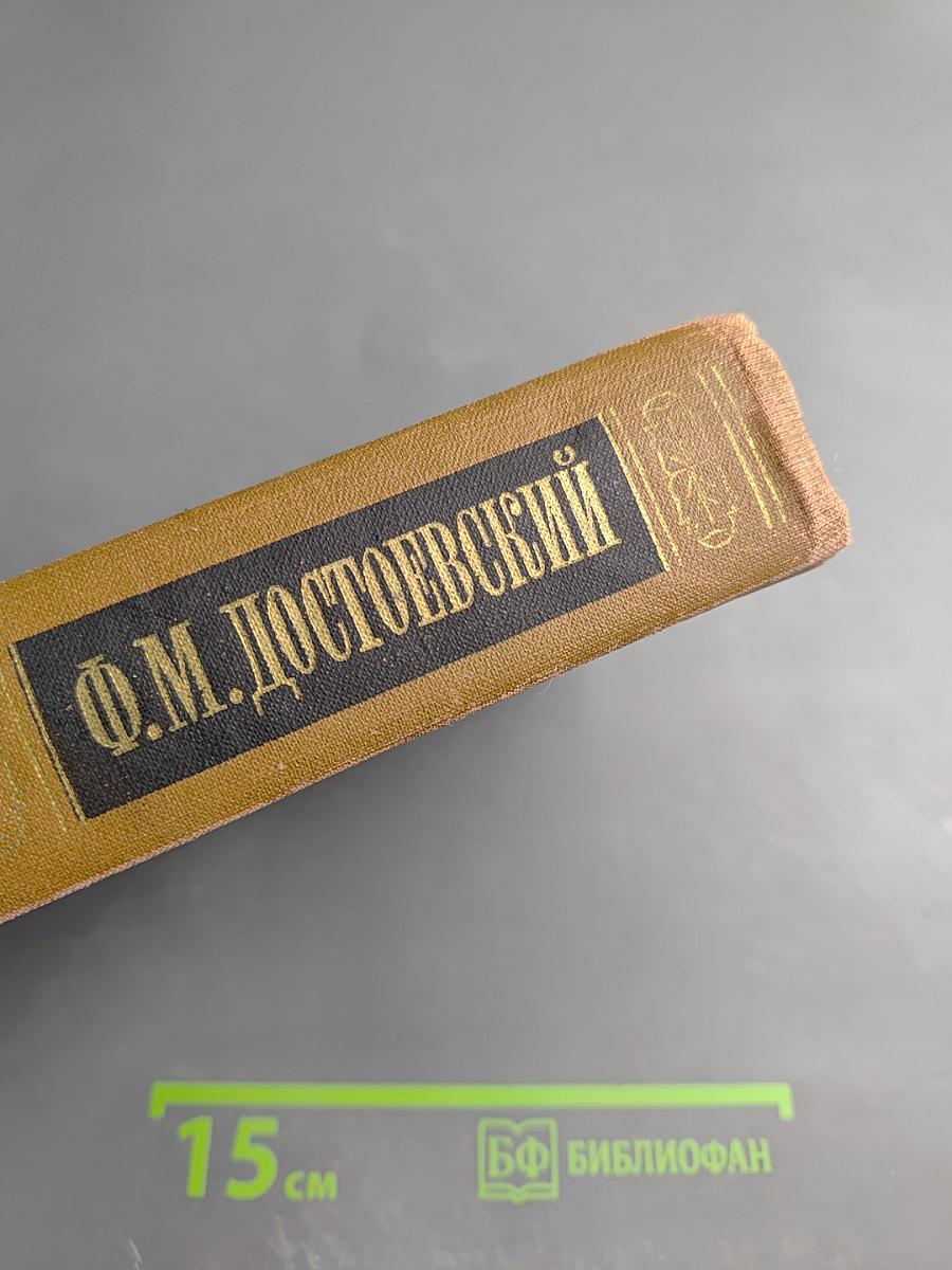 Братья Карамазовы, Том девятый