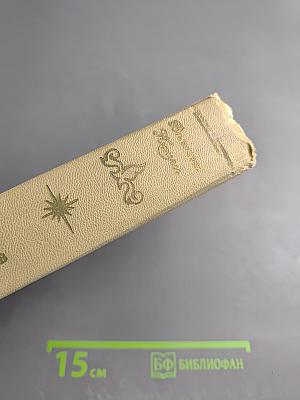 Битва железных канцлеров