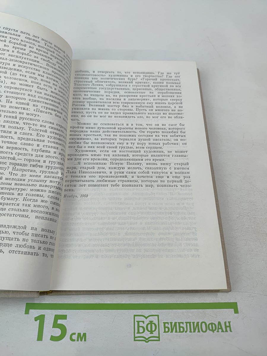 Публицистика. Воспоминания современников