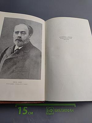 Эмиль Золя. Том 1. Карьера Ругонов. Добыча