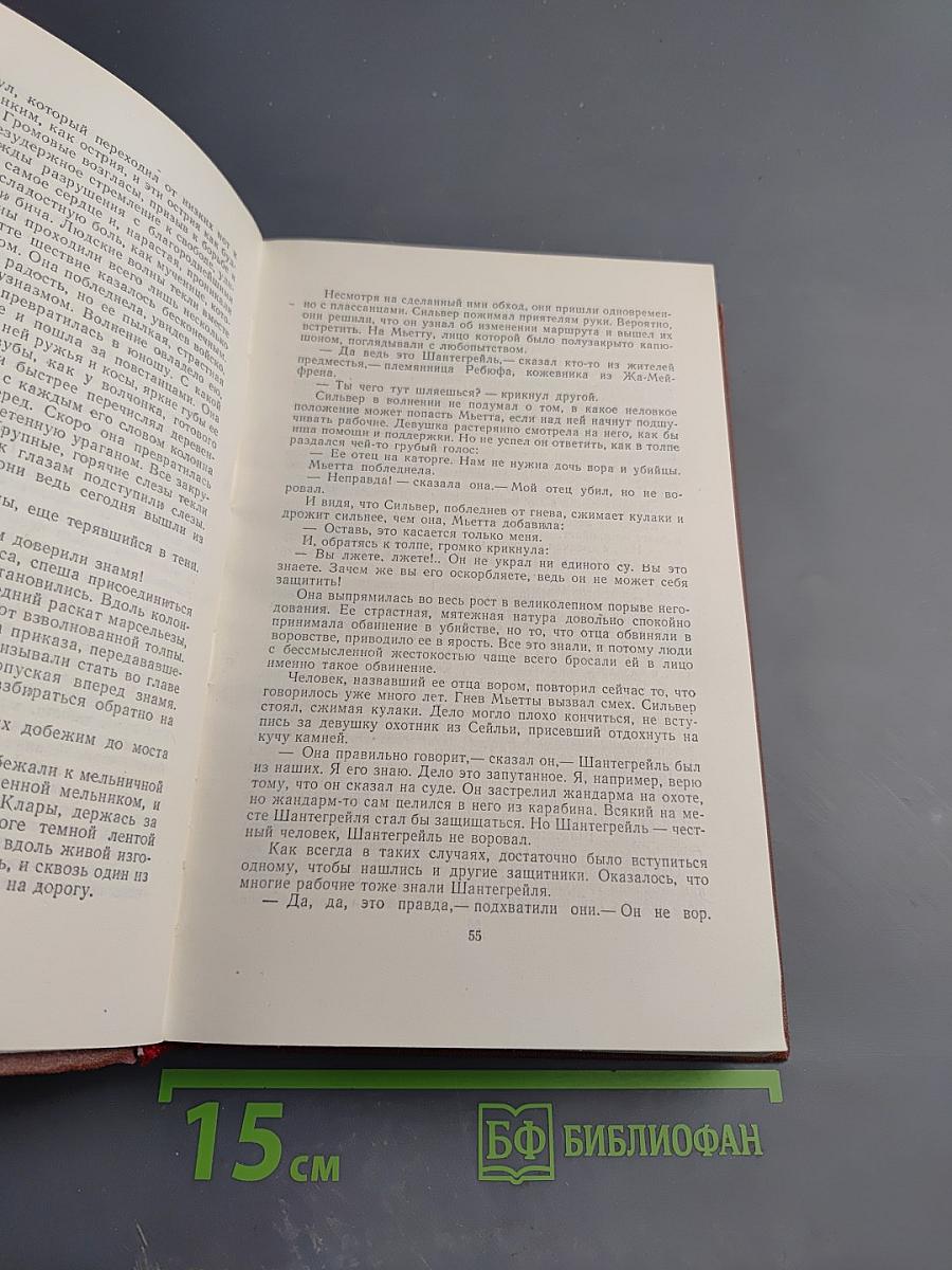 Эмиль Золя. Том 1. Карьера Ругонов. Добыча