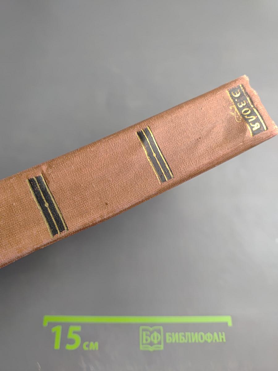 Эмиль Золя. Том 1. Карьера Ругонов. Добыча