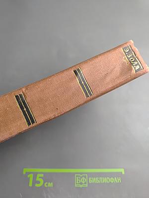 Эмиль Золя. Том 1. Карьера Ругонов. Добыча