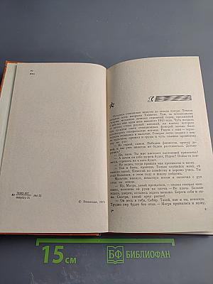 Из боя в бой