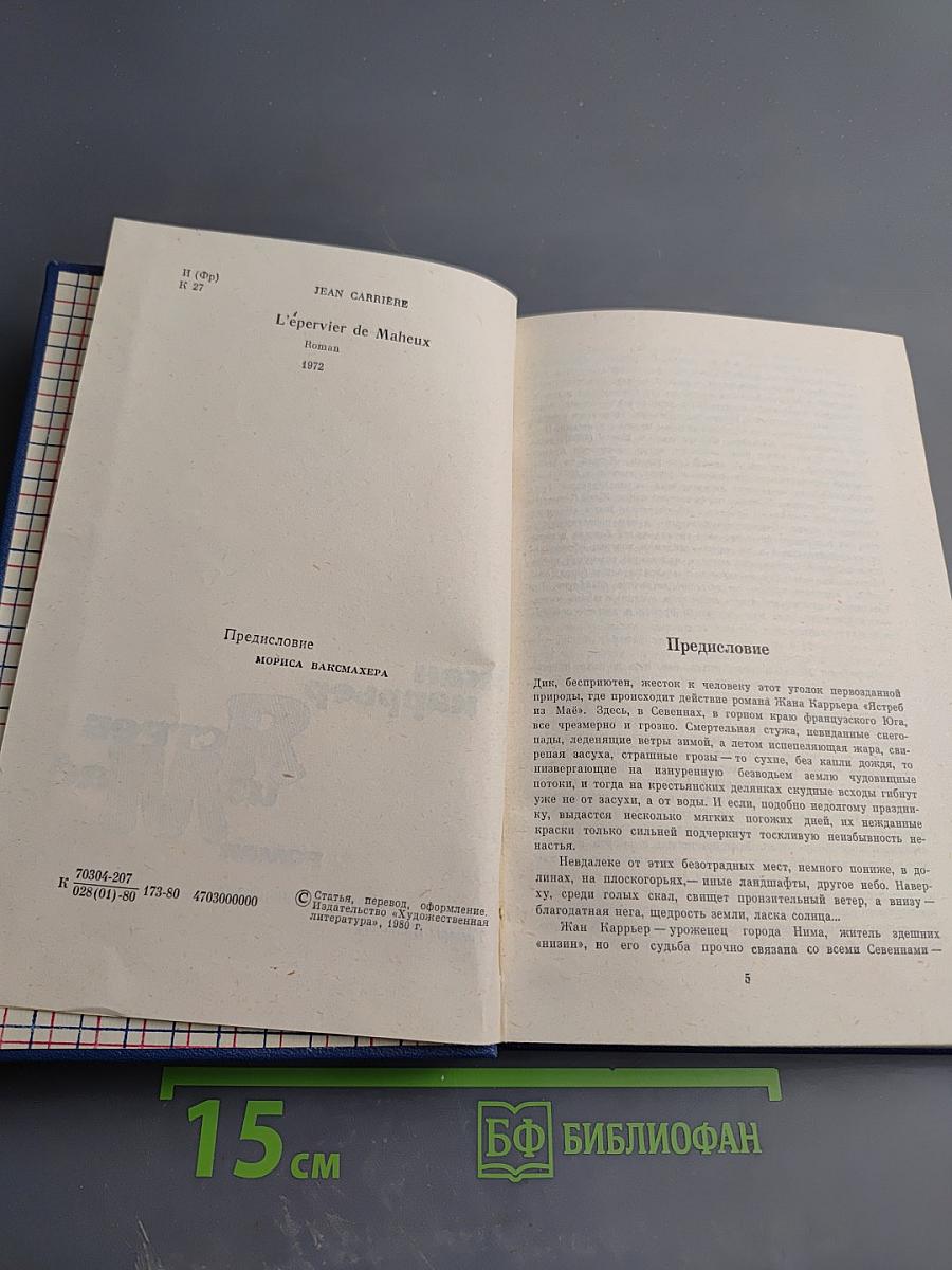 Ястреб из Маэ