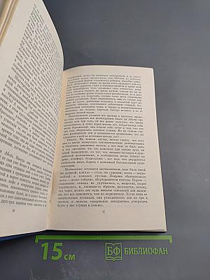 Ястреб из Маэ