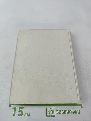 Стасов в Петербурге