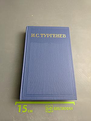 Сочинения. Том одиннадцатый. Повести и рассказы 1871-1877