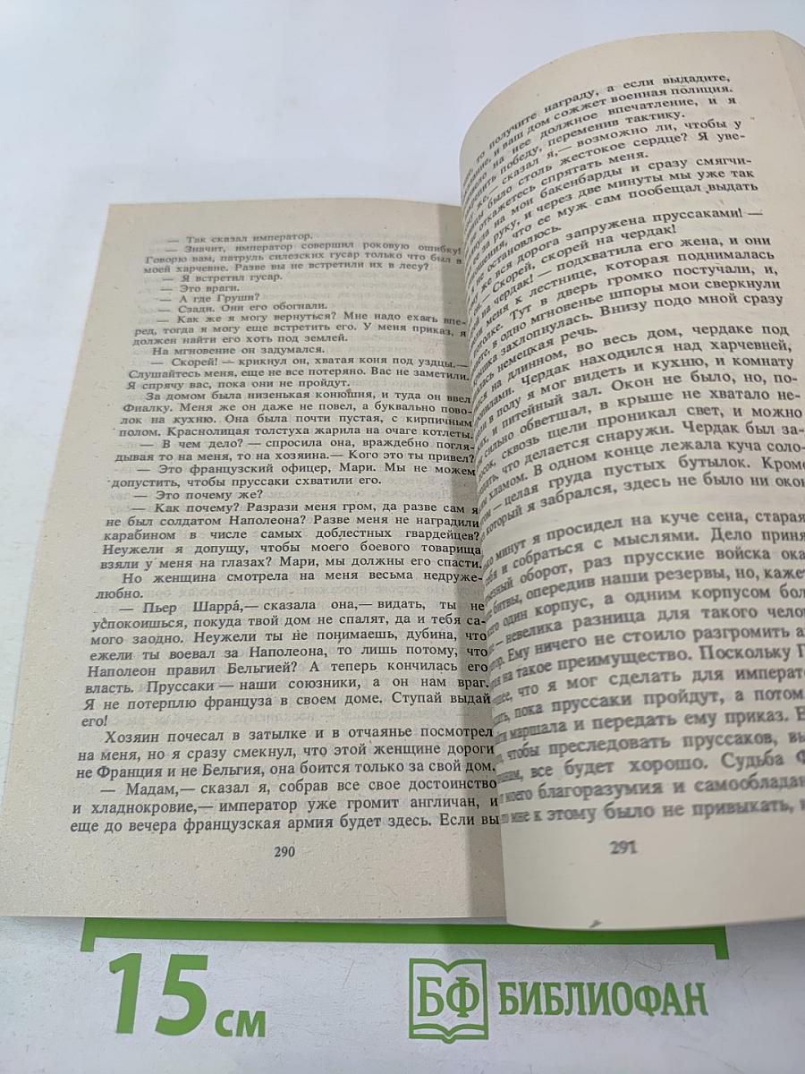 Подвиги и приключения бригадира Жерара