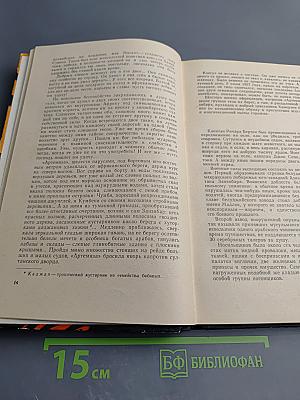 Истина стоит жизни