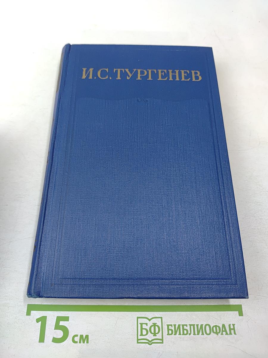 Сочинения. Том десятый. Повести и рассказы 1867-1870
