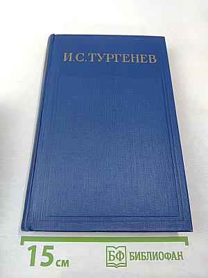 Сочинения. Том десятый. Повести и рассказы 1867-1870