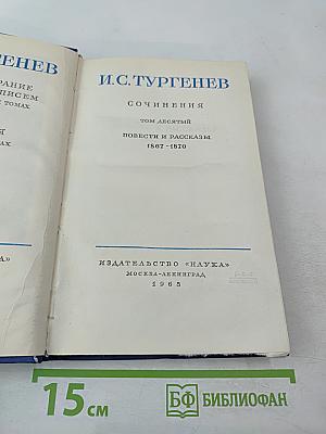 Сочинения. Том десятый. Повести и рассказы 1867-1870