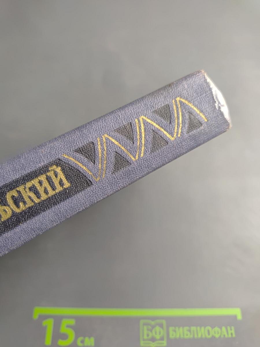 Двойник. Монастырка