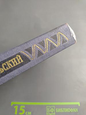 Двойник. Монастырка