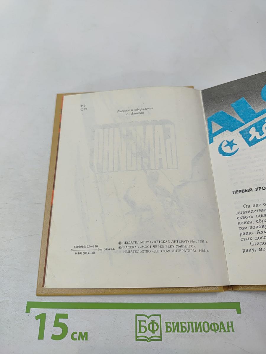 Бамбино. Рассказы