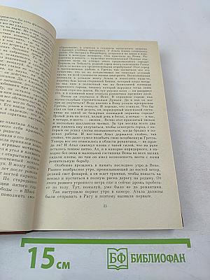 Портфель и петля