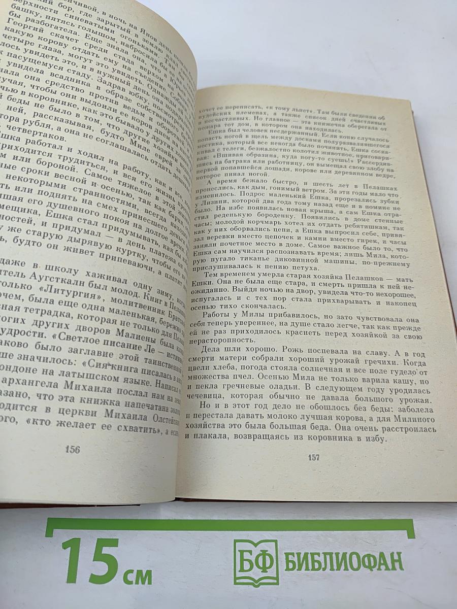 Портфель и петля