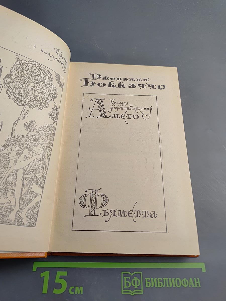 Амето. Фьяметта