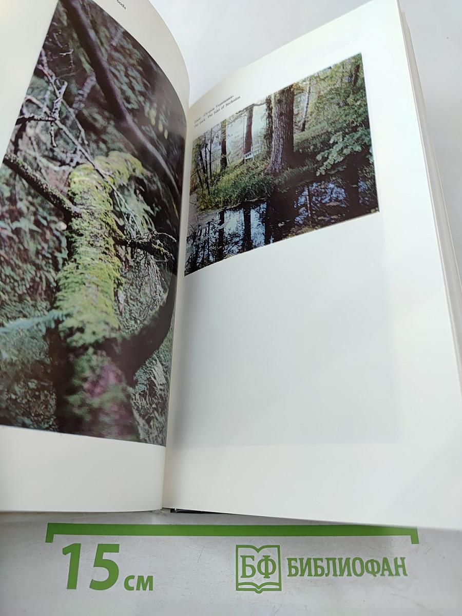 В краю великих вдохновений. Прогулки по Пушкинскому заповеднику