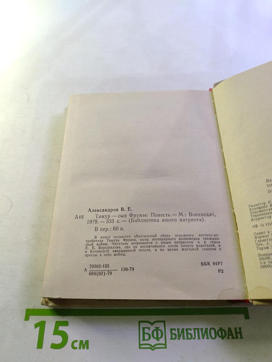 Тимур - сын Фрунзе