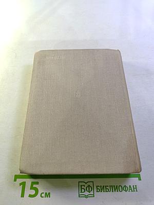 Тимур - сын Фрунзе