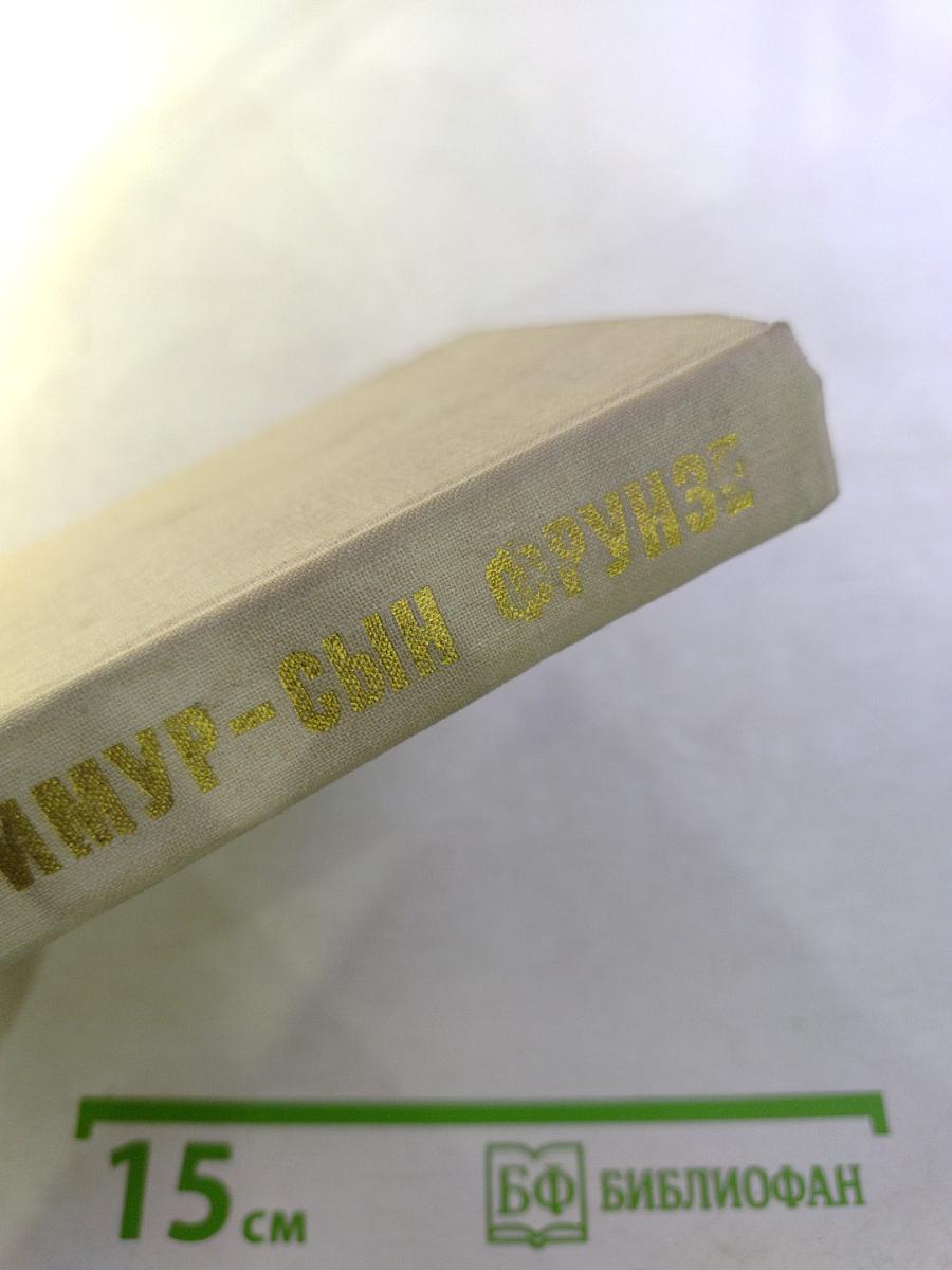 Тимур - сын Фрунзе