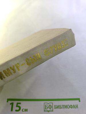 Тимур - сын Фрунзе