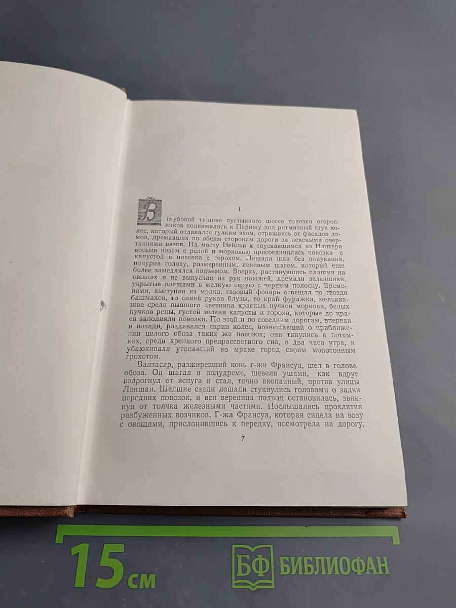 Чрево Парижа. Том 2